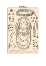 Referāts 'Rotas Latvijas teritorijā no 9.-14.gadsimtam', 8.