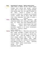 Referāts 'Krāsu ietekme uz bērna psiholoģisko attīstību', 2.