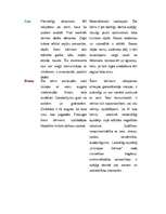 Referāts 'Krāsu ietekme uz bērna psiholoģisko attīstību', 3.