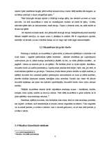 Referāts 'Mūzikas instrumenta spēles ietekme uz cilvēku', 8.