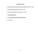 Referāts 'Mūzikas instrumenta spēles ietekme uz cilvēku', 17.