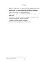 Referāts 'Mūzikas instrumenta spēles ietekme uz cilvēku', 18.