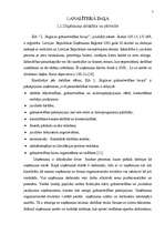 Diplomdarbs 'SIA "L.Stiglicas grāmatvedības birojs" rentabilitātes paaugstināšana', 7.