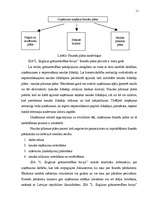 Diplomdarbs 'SIA "L.Stiglicas grāmatvedības birojs" rentabilitātes paaugstināšana', 11.