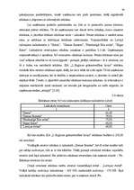 Diplomdarbs 'SIA "L.Stiglicas grāmatvedības birojs" rentabilitātes paaugstināšana', 29.