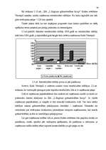 Diplomdarbs 'SIA "L.Stiglicas grāmatvedības birojs" rentabilitātes paaugstināšana', 39.