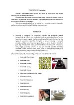 Konspekts 'Dizaina kanoni - keramika', 1.