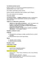 Konspekts 'Apdrošināšanas tiesības', 2.