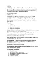 Konspekts 'Apdrošināšanas tiesības', 6.