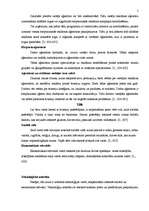 Konspekts 'Starptautiskā reklāma. Globālas markas', 5.