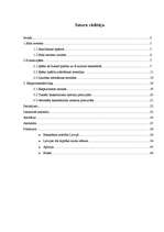 Referāts 'Soda metienu precizitātes izmaiņas atkarībā no slodzes pakāpes', 2.