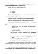 Referāts 'Soda metienu precizitātes izmaiņas atkarībā no slodzes pakāpes', 8.