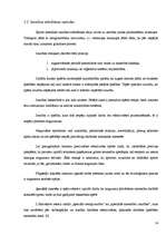 Referāts 'Soda metienu precizitātes izmaiņas atkarībā no slodzes pakāpes', 14.