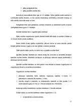 Referāts 'Soda metienu precizitātes izmaiņas atkarībā no slodzes pakāpes', 17.
