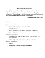 Referāts 'Latviešu valodas funkcionālie stili un to pazīmes', 4.