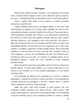 Diplomdarbs 'Vardarbīgās dienesta pilnvaru pārsniegšanas krimināltiesiskie aspekti', 70.