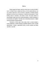 Referāts 'Cilvēka dabas izpratne 20.gadsimta politikas teorijā', 12.