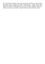 Konspekts 'Albēra Kamī romāna "Svešinieks" analīze', 3.