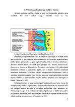 Referāts 'Probiotikas, probiotikas pārtikā, to ražošana un darbības mehānisms', 8.