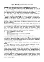 Konspekts 'Komunikācijas vēstures konspekts', 2.