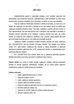 Prakses atskaite 'Kvalifikācijas prakse kurjerkompānijā SIA "Transports"', 3.