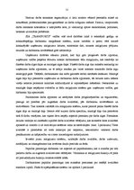 Prakses atskaite 'Kvalifikācijas prakse kurjerkompānijā SIA "Transports"', 31.