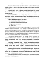 Prakses atskaite 'Kvalifikācijas prakse kurjerkompānijā SIA "Transports"', 33.