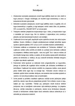 Prakses atskaite 'Kvalifikācijas prakse kurjerkompānijā SIA "Transports"', 48.