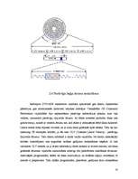 Referāts 'DVD-ROM iekārtas', 20.