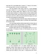Referāts 'DVD-ROM iekārtas', 32.