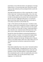 Konspekts '“Rainis. ‘Gals un sākums’ – dzīves cikliskuma un garīgās atdzimšanas analīze”', 2.