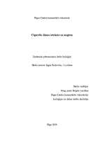 Referāts 'Cigarešu dūmu ietekme uz augiem', 1.