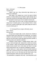 Referāts 'Cigarešu dūmu ietekme uz augiem', 16.