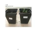 Referāts 'Cigarešu dūmu ietekme uz augiem', 38.