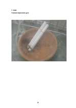 Referāts 'Cigarešu dūmu ietekme uz augiem', 41.