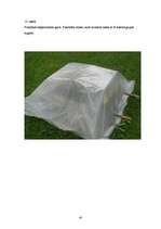 Referāts 'Cigarešu dūmu ietekme uz augiem', 42.