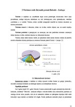 Referāts 'Tūrisms Jūrmalas pilsētas posmā Dubulti - Lielupe', 10.