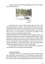 Referāts 'Tūrisms Jūrmalas pilsētas posmā Dubulti - Lielupe', 19.