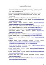 Referāts 'Tūrisms Jūrmalas pilsētas posmā Dubulti - Lielupe', 31.