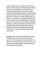 Eseja 'Nacionālie partizāni', 2.