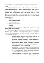 Referāts 'SIA "X" finansiālās darbības analīze', 7.