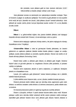 Referāts 'SIA "X" finansiālās darbības analīze', 8.