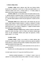 Referāts 'SIA "X" finansiālās darbības analīze', 11.