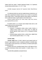 Referāts 'SIA "X" finansiālās darbības analīze', 12.