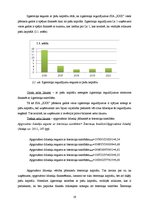 Referāts 'SIA "X" finansiālās darbības analīze', 19.