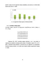 Referāts 'SIA "X" finansiālās darbības analīze', 20.