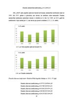 Referāts 'SIA "X" finansiālās darbības analīze', 29.