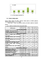 Referāts 'SIA "X" finansiālās darbības analīze', 33.