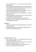 Referāts 'SIA "X" finansiālās darbības analīze', 35.
