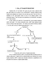 Prakses atskaite 'Prakses atskaite SIA "X"', 5.